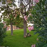 Кемпинг Bungalows Zaragoza Camping *