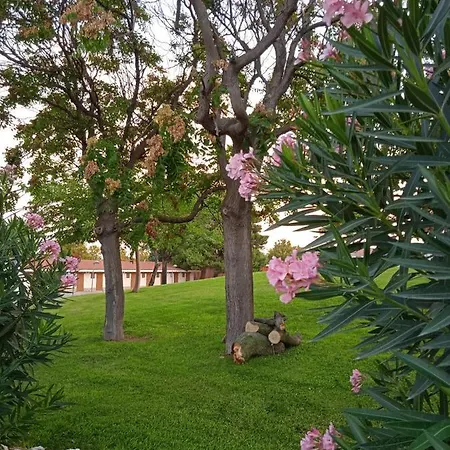 Kemp Bungalows Zaragoza Camping *