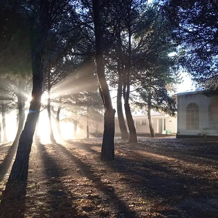 Bungalows Zaragoza Camping Campingplatz Saragossa