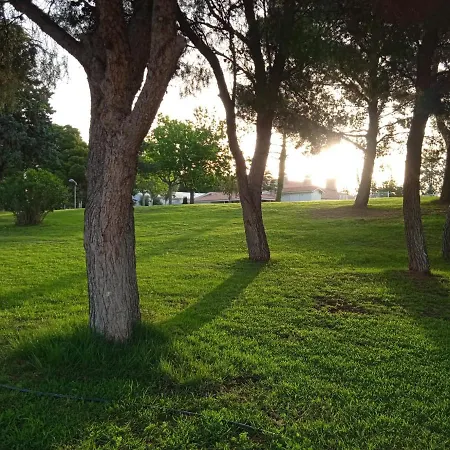 Bungalows Zaragoza Camping Zaragoza