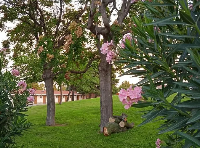 Kemping Bungalows Zaragoza Camping *