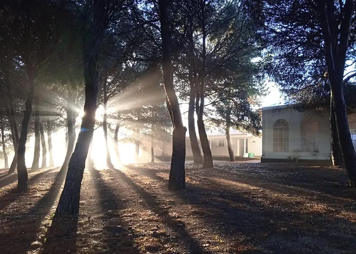 Bungalows Zaragoza Camping 캠프장 사라고사